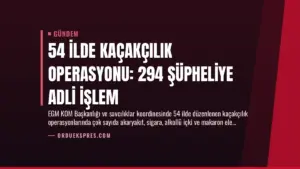 54 İlde Kaçakçılık Operasyonu: 294 Şüpheliye Adli İşlem