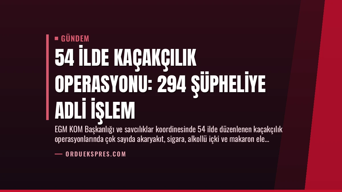 54 İlde Kaçakçılık Operasyonu: 294 Şüpheliye Adli İşlem