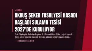 Akkuş Şeker Fasulyesi Hasadı Başladı Sulama Tesisi 2027’de Kuruluyor