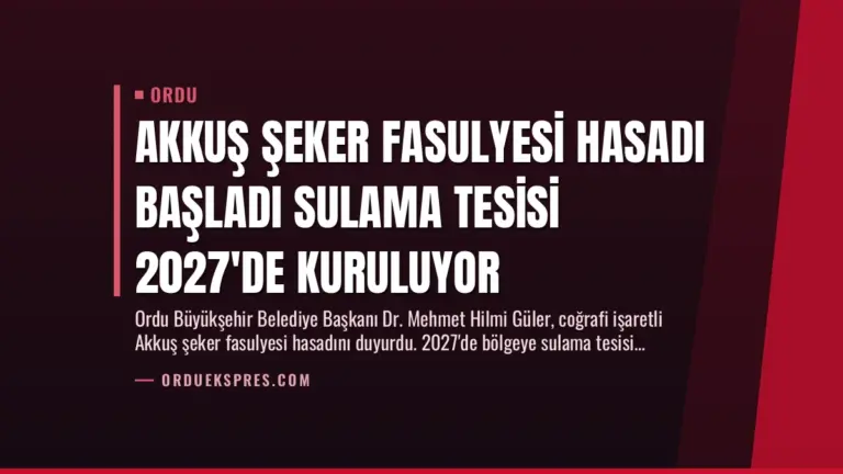 Akkuş Şeker Fasulyesi Hasadı Başladı Sulama Tesisi 2027’de Kuruluyor
