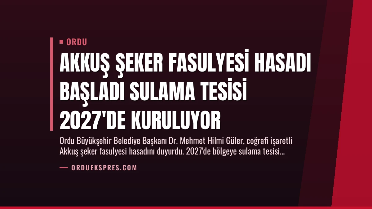 Akkuş Şeker Fasulyesi Hasadı Başladı Sulama Tesisi 2027’de Kuruluyor