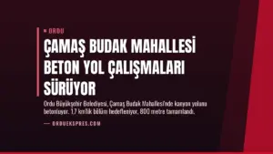 Çamaş Budak Mahallesi Beton Yol Çalışmaları Sürüyor