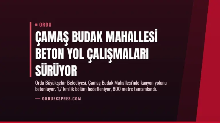 Çamaş Budak Mahallesi Beton Yol Çalışmaları Sürüyor
