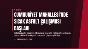 Cumhuriyet Mahallesi'nde Sıcak Asfalt Çalışması Başladı