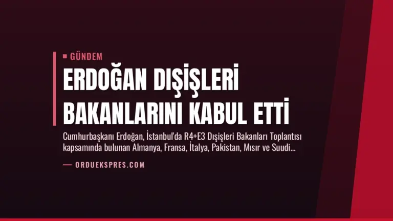 Erdoğan Dışişleri Bakanlarını Kabul Etti