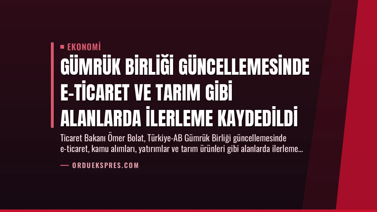 Gümrük Birliği Güncellemesinde E-Ticaret ve Tarım Gibi Alanlarda İlerleme Kaydedildi