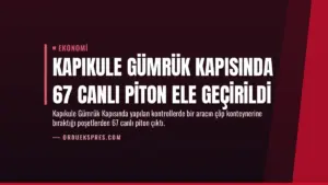 Kapıkule Gümrük Kapısında 67 Canlı Piton Ele Geçirildi