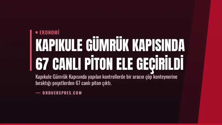 Kapıkule Gümrük Kapısında 67 Canlı Piton Ele Geçirildi