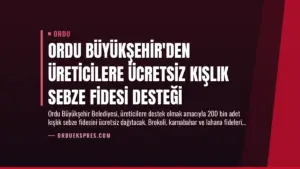 Ordu Büyükşehir’den Üreticilere Ücretsiz Kışlık Sebze Fidesi Desteği