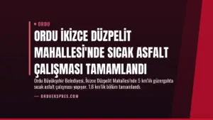 Ordu İkizce Düzpelit Mahallesi’nde Sıcak Asfalt Çalışması Tamamlandı