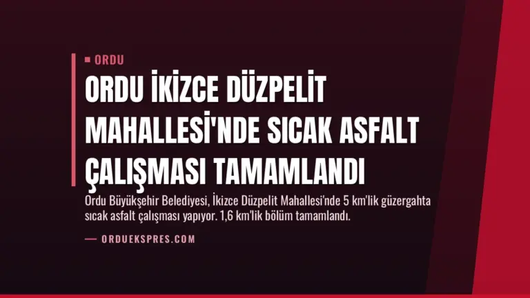 Ordu İkizce Düzpelit Mahallesi’nde Sıcak Asfalt Çalışması Tamamlandı