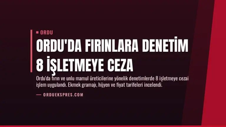 Ordu'da Fırınlara Denetim 8 İşletmeye Ceza