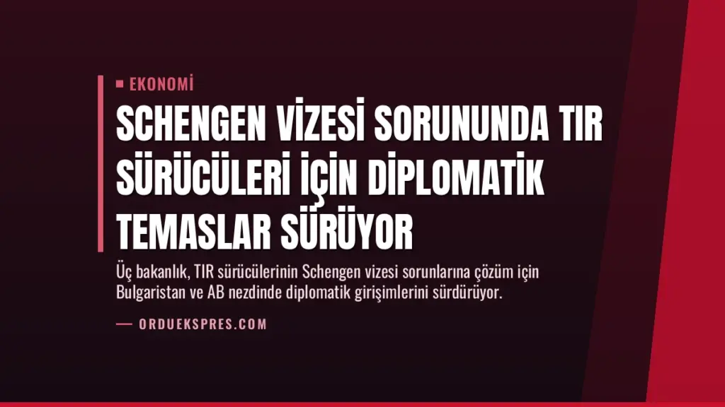 Schengen vizesi sorununda TIR sürücüleri için diplomatik temaslar sürüyor