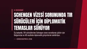 Schengen vizesi sorununda TIR sürücüleri için diplomatik temaslar sürüyor