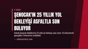 Şenocak'ın 25 Yıllık Yol Bekleyişi Asfaltla Son Buluyor