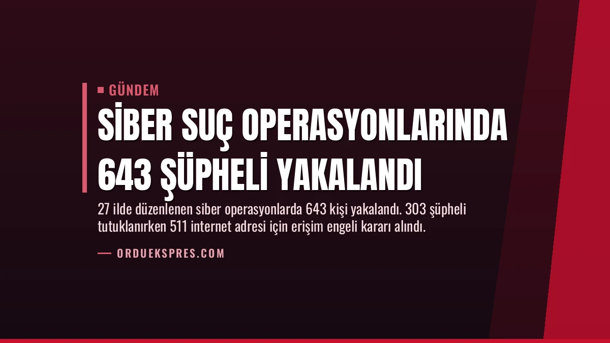 Siber Suç Operasyonlarında 643 Şüpheli Yakalandı