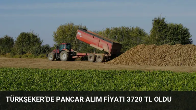 Türkşeker’de Pancar Alım Fiyatı 3720 TL Oldu
