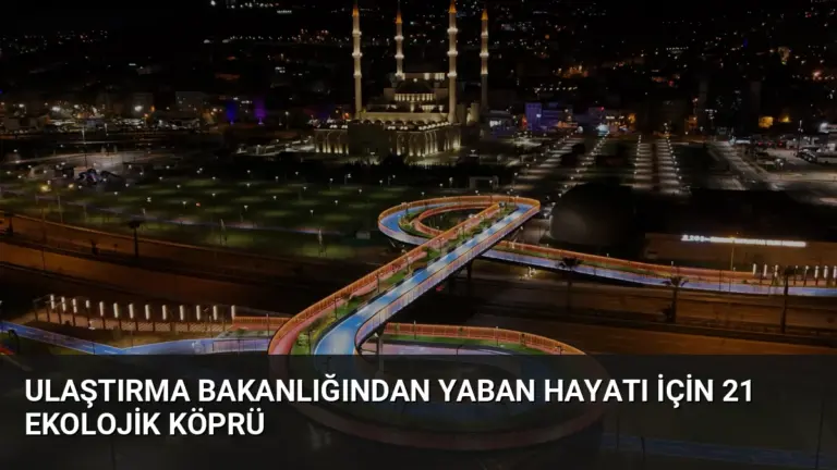 Ulaştırma Bakanlığından Yaban Hayatı İçin 21 Ekolojik Köprü