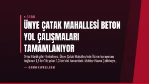 Ünye Çatak Mahallesi Beton Yol Çalışmaları Tamamlanıyor