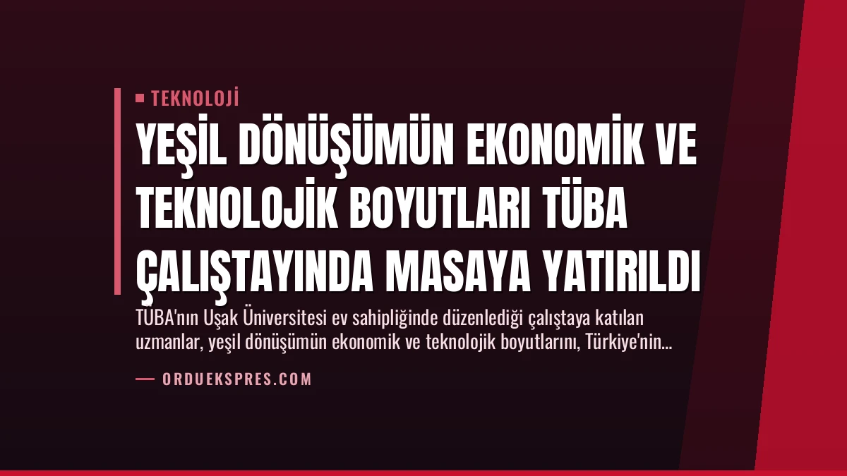 Yeşil Dönüşümün Ekonomik ve Teknolojik Boyutları TÜBA Çalıştayında Masaya Yatırıldı
